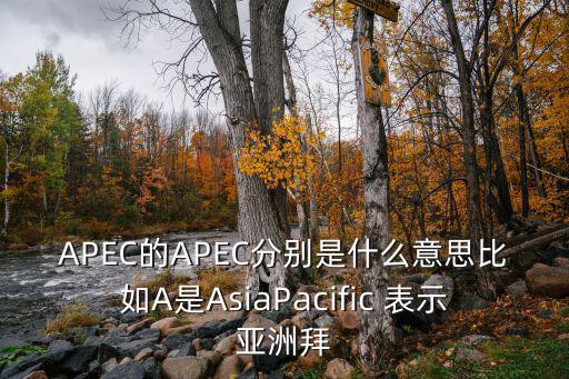 APEC的APEC分別是什么意思比如A是AsiaPacific 表示亞洲拜