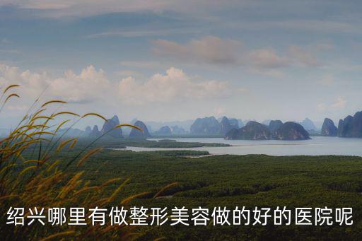 紹興哪里有做整形美容做的好的醫院呢