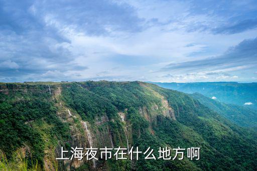 上海夜市在什么地方啊