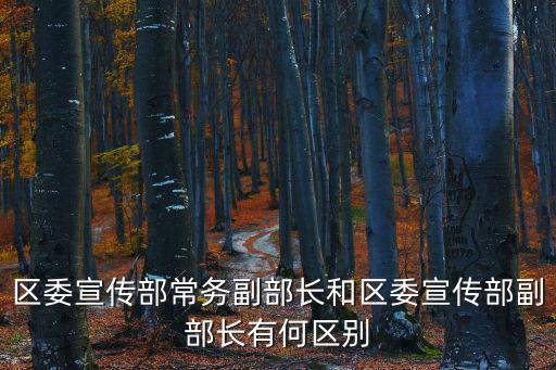 區委宣傳部常務副部長和區委宣傳部副部長有何區別