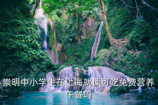 上海市對中小學生午餐補貼，崇明中小學生在上海就讀可吃免費營養午餐嗎