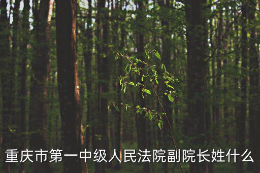 重慶市第一中級人民法院副院長姓什么