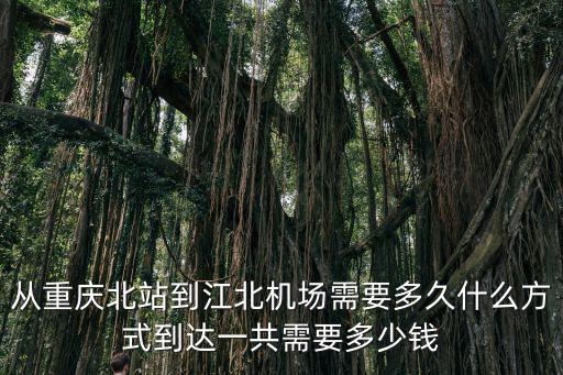 從重慶北站到江北機(jī)場(chǎng)需要多久什么方式到達(dá)一共需要多少錢