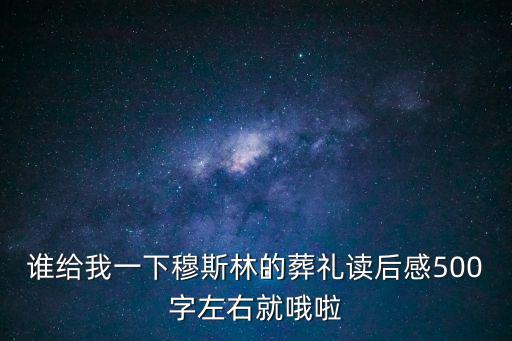 誰給我一下穆斯林的葬禮讀后感500字左右就哦啦
