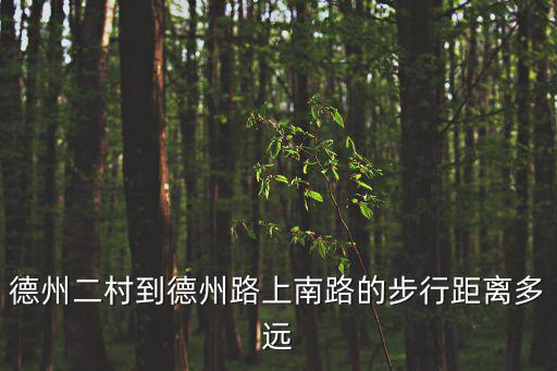 德州二村到德州路上南路的步行距離多遠(yuǎn)