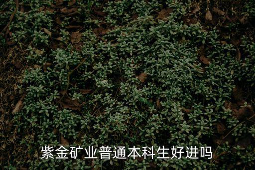 紫金礦業普通本科生好進嗎