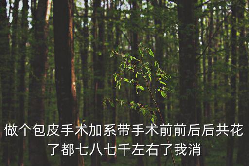 做個包皮手術加系帶手術前前后后共花了都七八七千左右了我消