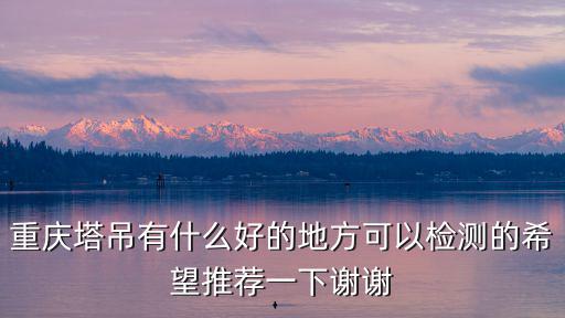 重慶塔吊有什么好的地方可以檢測的希望推薦一下謝謝