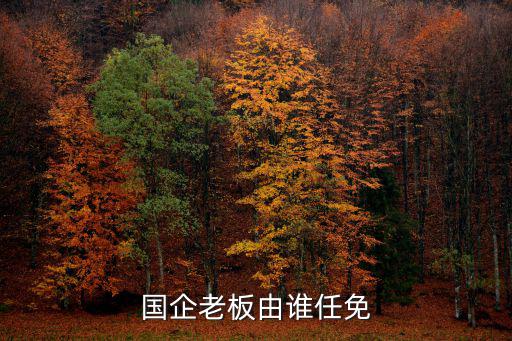國(guó)企老板由誰(shuí)任免