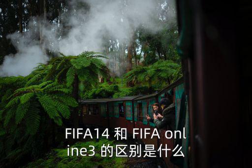 fifm，FIFA online2 多人對戰時游戲自動退出為什么