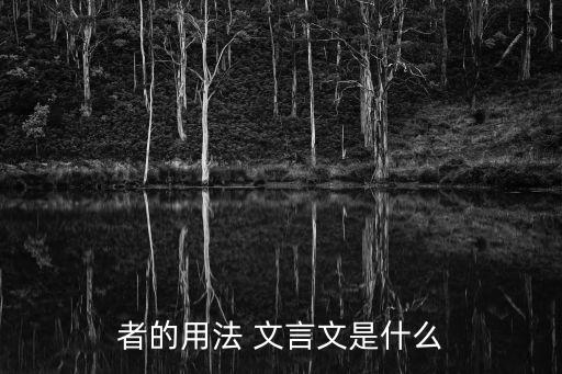 者在文言文中的意思,從句引出原因:傳道者是有教養的也迷茫的