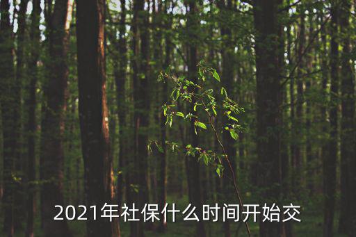2021年社保什么時間開始交