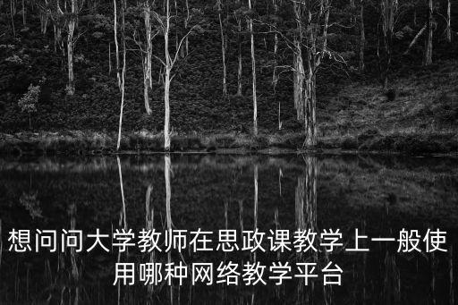 想問問大學教師在思政課教學上一般使用哪種網絡教學平臺
