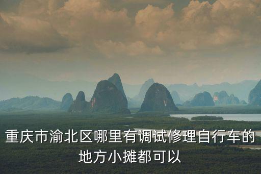 嗯重慶市渝北區的矛調中心，重慶這邊做亞健康調理哪里好啊想調理一下身體