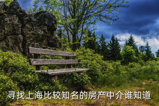 尋找上海比較知名的房產中介誰知道