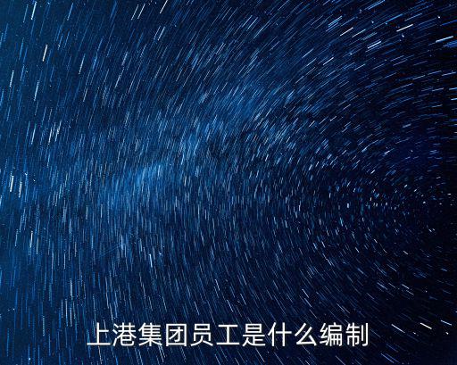 上海市國資委和上港集團，上港集團員工是什么編制