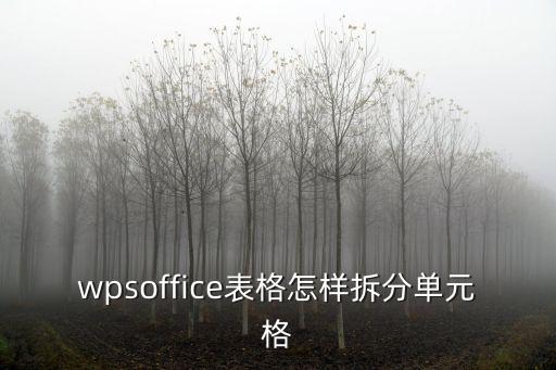 wpsoffice表格怎樣拆分單元格