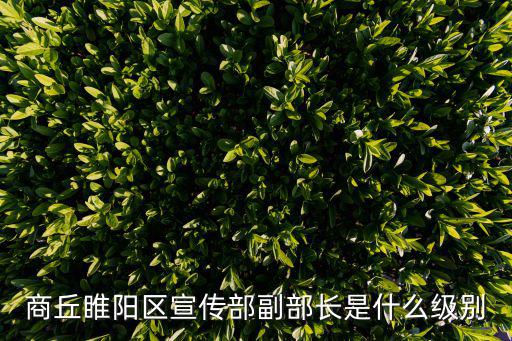 商丘睢陽區宣傳部副部長是什么級別