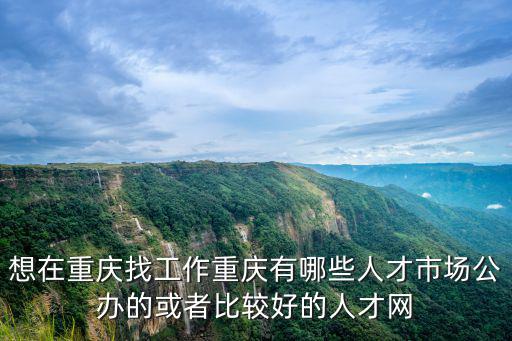 重慶市就業(yè)中心網(wǎng)，想在重慶找工作重慶有哪些人才市場公辦的或者比較好的人才網(wǎng)