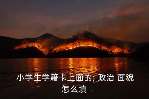 小學生的政治面貌,政治面貌隨便填:★少先隊員（前提是入隊