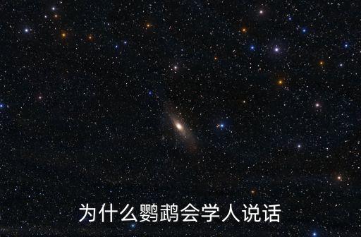 為什么鸚鵡會學人說話