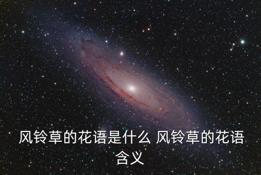  風鈴草的花語是什么 風鈴草的花語含義