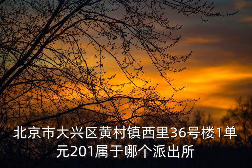 北京市大興區黃村鎮西里36號樓1單元201屬于哪個派出所