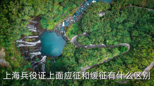 上海兵役證上面應征和緩征有什么區別