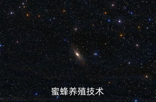 養(yǎng)蜜蜂技術(shù)視頻，蜜蜂養(yǎng)殖技術(shù)