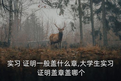 實習 證明一般蓋什么章,大學生實習 證明蓋章蓋哪個