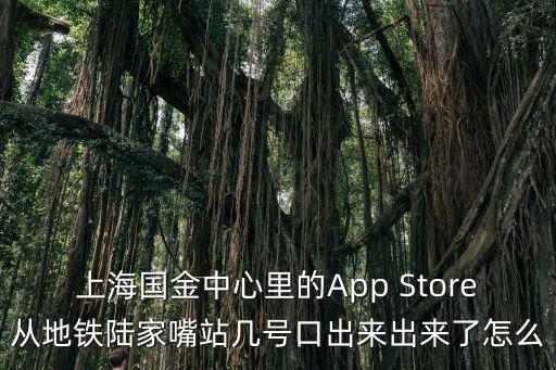 上海國金中心里的App Store從地鐵陸家嘴站幾號口出來出來了怎么