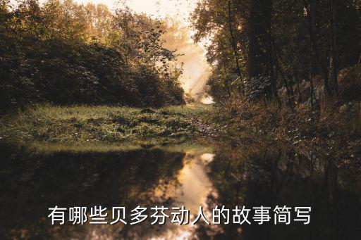 有哪些貝多芬動(dòng)人的故事簡(jiǎn)寫(xiě)