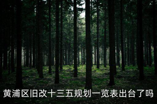 上海黃浦區2023年動遷表，黃浦區舊改十三五規劃一覽表出臺了嗎