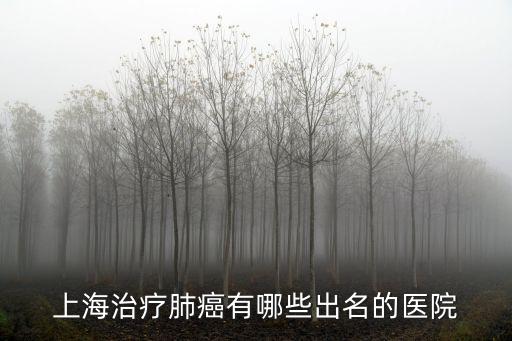 上海治療肺癌有哪些出名的醫院