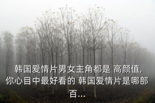  韓國(guó)愛情片男女主角都是 高顏值,你心目中最好看的 韓國(guó)愛情片是哪部百...