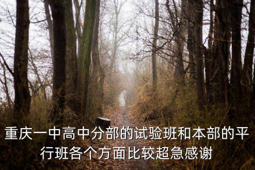 重慶一中高中分部的試驗班和本部的平行班各個方面比較超急感謝