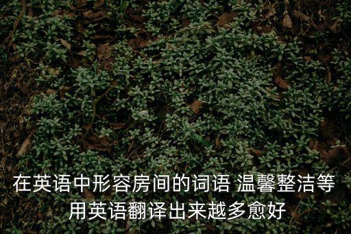 在英語(yǔ)中形容房間的詞語(yǔ) 溫馨整潔等 用英語(yǔ)翻譯出來(lái)越多愈好