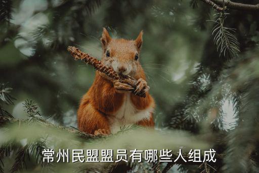 中國民盟成員名單，沈從文 是民盟盟員嗎