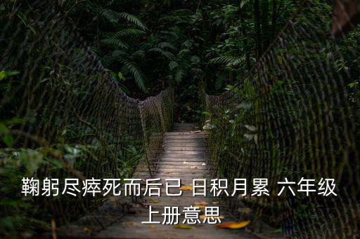 六年級上冊日積月累,你走過的風景
