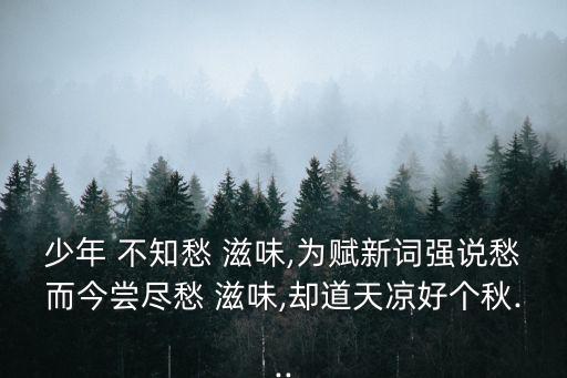 少年 不知愁 滋味,為賦新詞強說愁而今嘗盡愁 滋味,卻道天涼好個秋...
