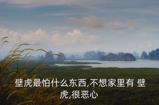  壁虎最怕什么東西,不想家里有 壁虎,很惡心