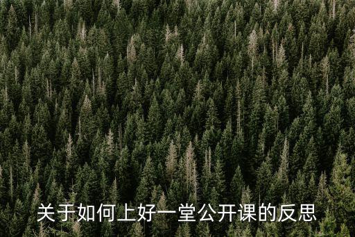 關于如何上好一堂公開課的反思