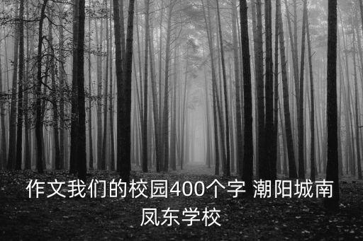 作文我們的校園400個字 潮陽城南鳳東學校