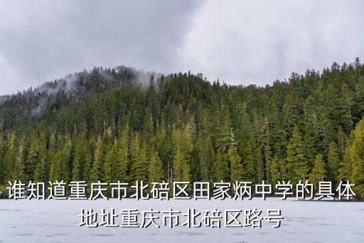 誰知道重慶市北碚區田家炳中學的具體地址重慶市北碚區路號
