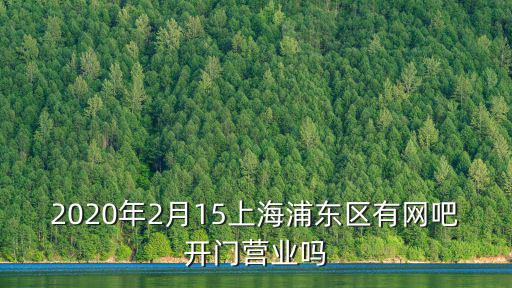 2020年2月15上海浦東區有網吧開門營業嗎