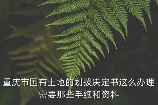 重慶市國有土地的劃撥決定書這么辦理需要那些手續和資料