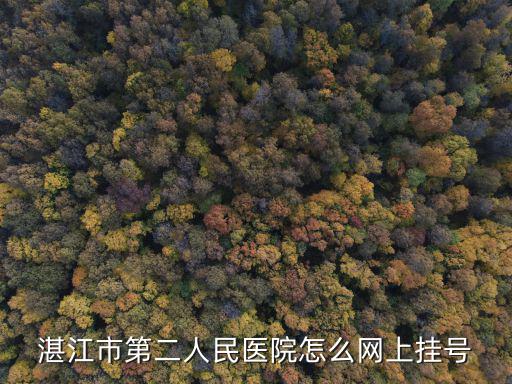 湛江市第二人民醫院怎么網上掛號