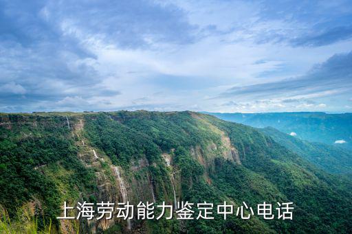 上海勞動能力鑒定中心電話