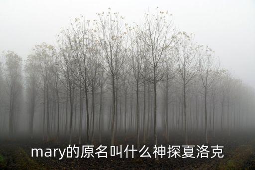 mary的原名叫什么神探夏洛克