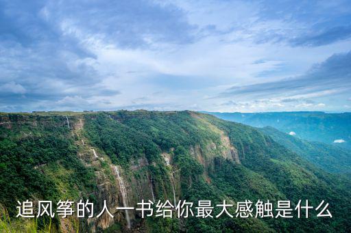 追風(fēng)箏的人一書給你最大感觸是什么